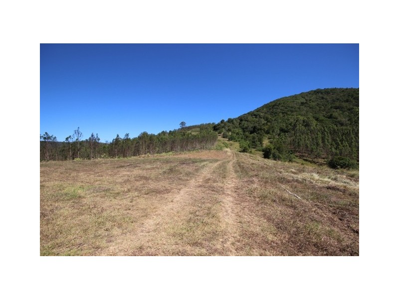 435 Toms Creek Road, Ellenborough NSW 2446