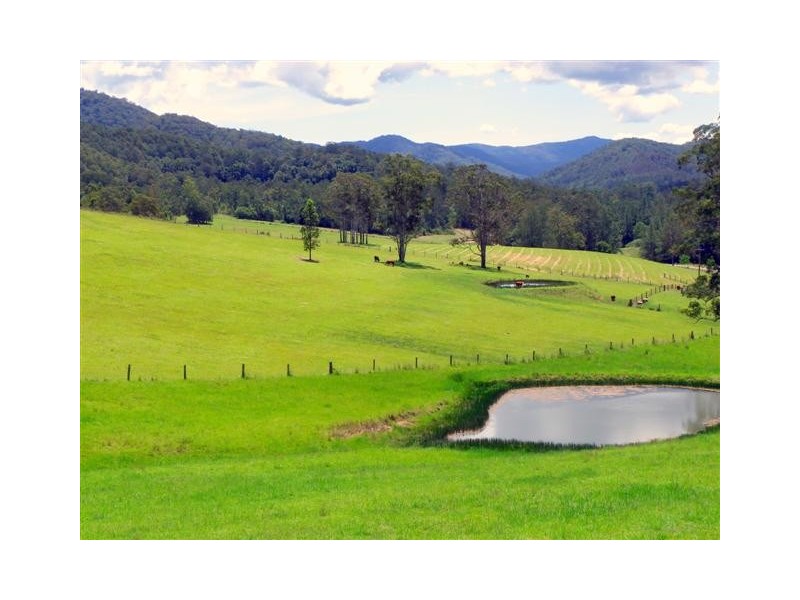 Pappinbarra NSW 2446