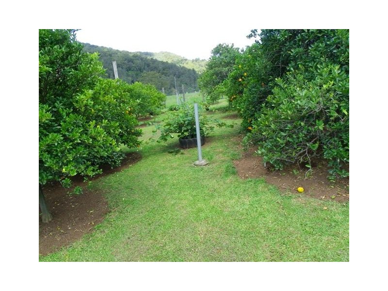 Pappinbarra NSW 2446