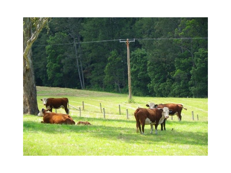 Pappinbarra NSW 2446