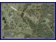 Rosewood NSW 2446