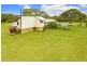 Rosewood NSW 2446