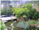 517 Lake Innes Drive, Lake Innes NSW 2446