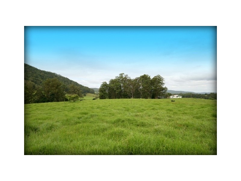 Rollands Plains NSW 2441