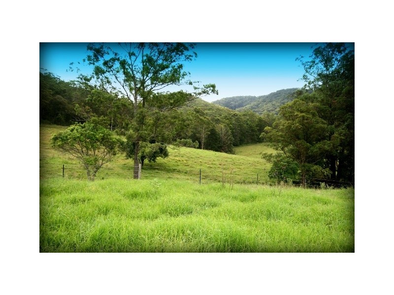 Rollands Plains NSW 2441