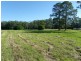 Lot 2 Pead Street, Wauchope NSW 2446