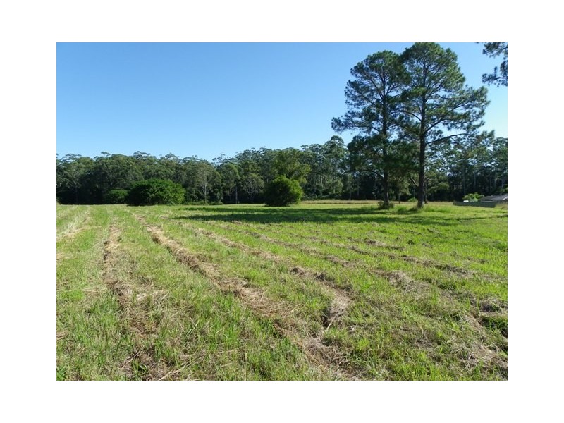 Lot 2 Pead Street, Wauchope NSW 2446