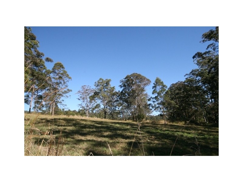 Bellangry NSW 2446