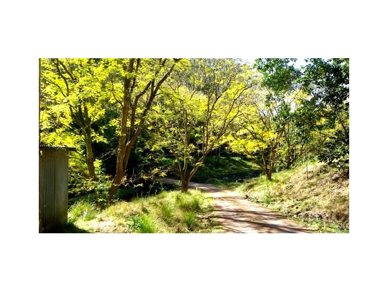 Ellenborough NSW 2446