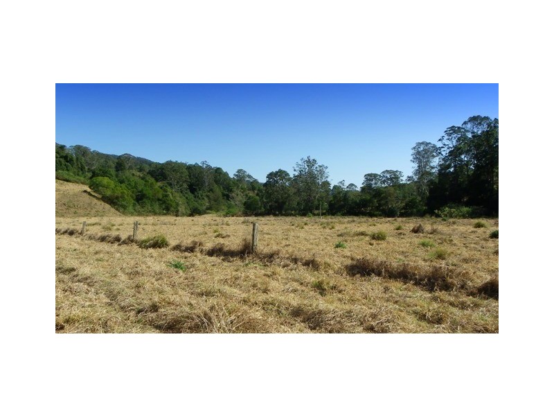 Ellenborough NSW 2446