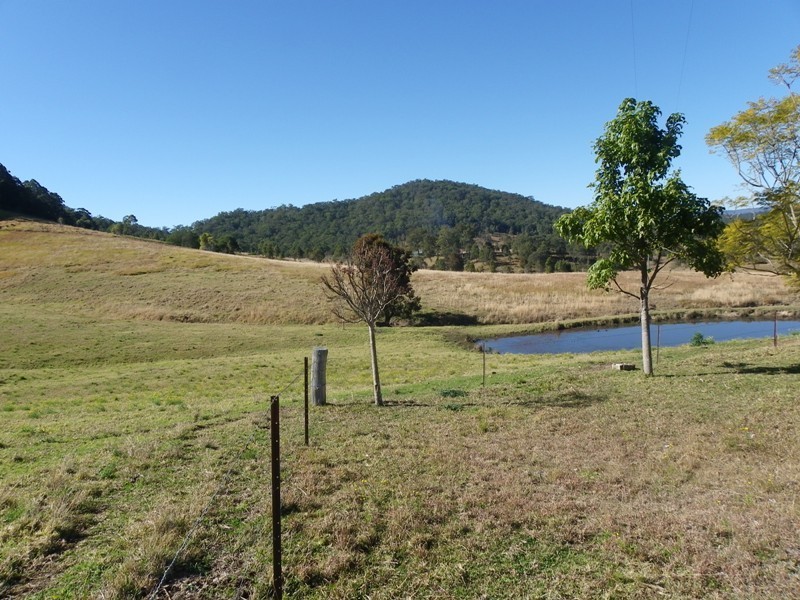 Beechwood NSW 2446