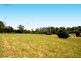King Creek NSW 2446
