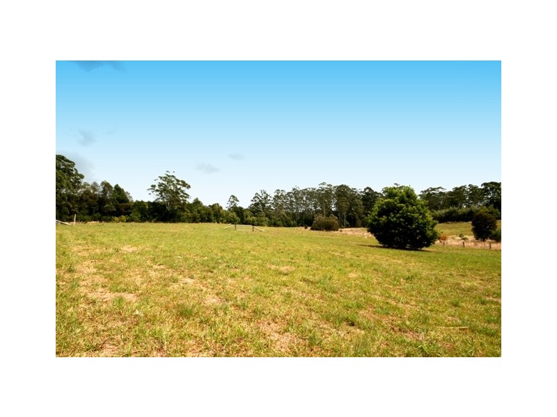 King Creek NSW 2446