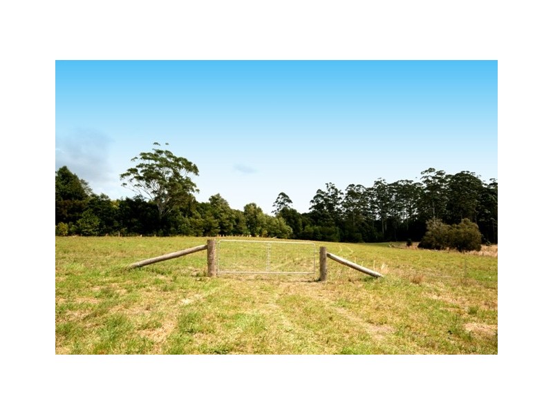 King Creek NSW 2446