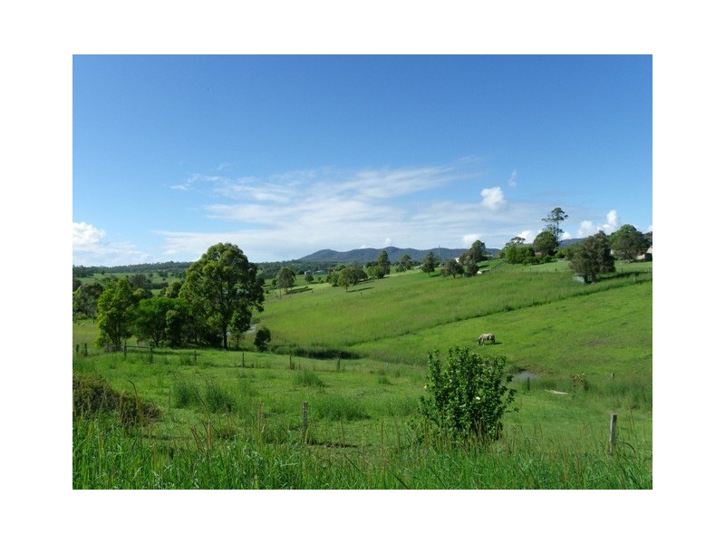 71 Koree Island Road, Beechwood NSW 2446