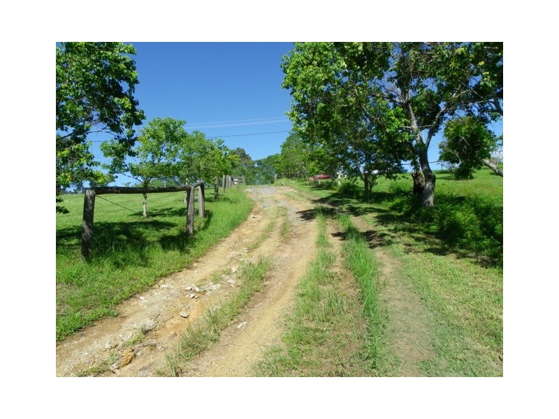 71 Koree Island Road, Beechwood NSW 2446