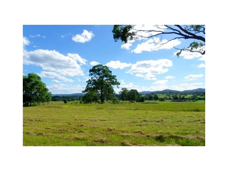 475 Rosewood Road, Rosewood NSW 2446