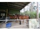 King Creek NSW 2446