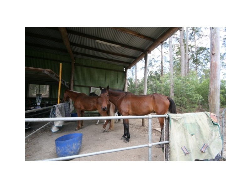 King Creek NSW 2446