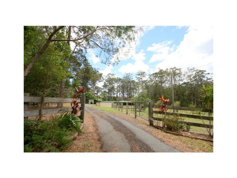 King Creek NSW 2446