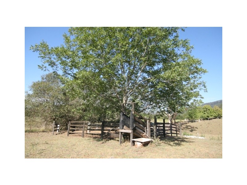 1052 Pipeclay Road, Beechwood NSW 2446