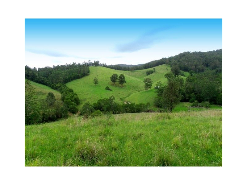 Pappinbarra NSW 2446