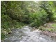 Pappinbarra NSW 2446