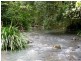Pappinbarra NSW 2446