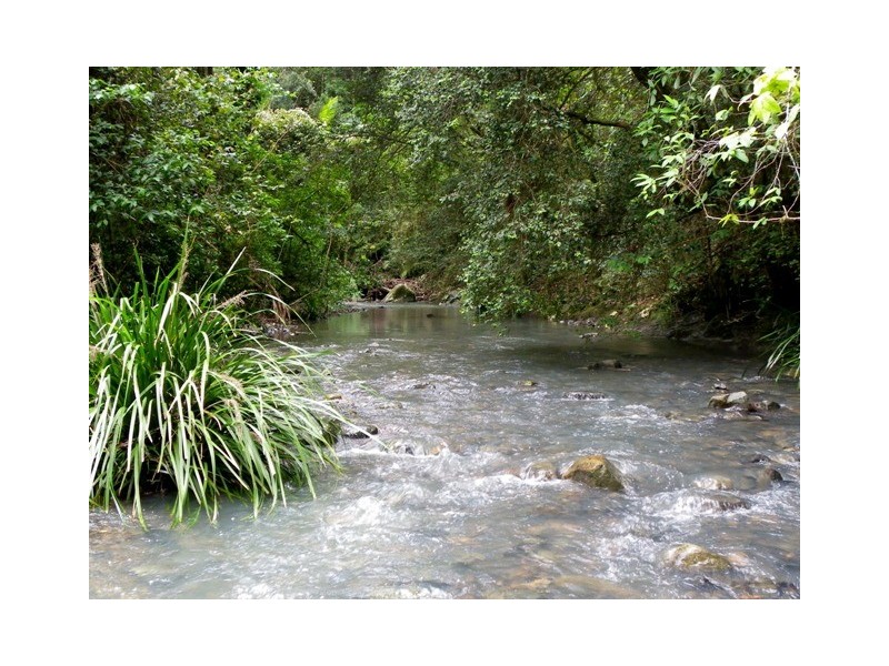 Pappinbarra NSW 2446