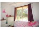 Sancrox NSW 2446