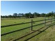 Sancrox NSW 2446