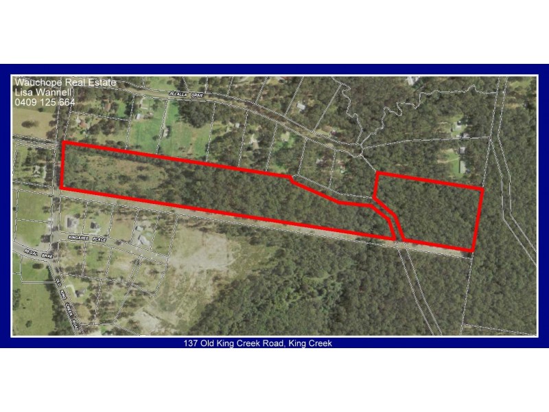 137 Old King Creek Road, King Creek NSW 2446