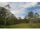 137 Old King Creek Road, King Creek NSW 2446