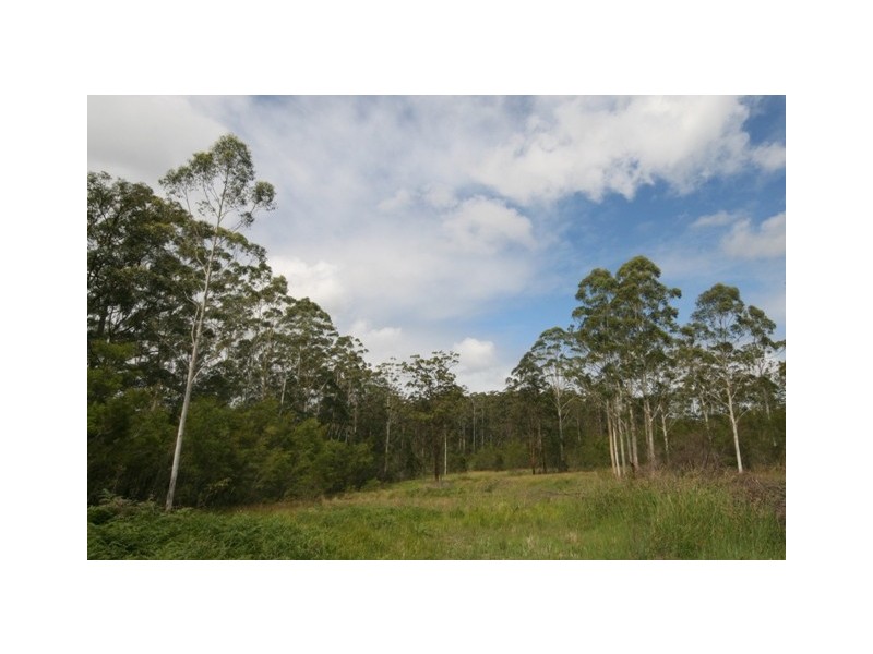 137 Old King Creek Road, King Creek NSW 2446