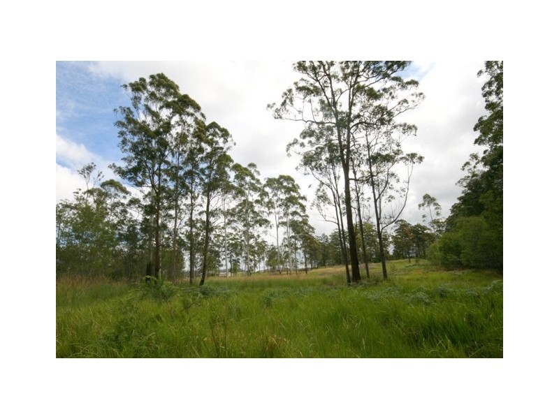 137 Old King Creek Road, King Creek NSW 2446