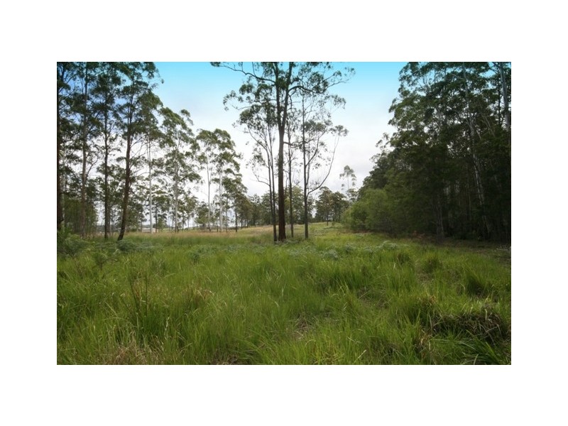 137 Old King Creek Road, King Creek NSW 2446