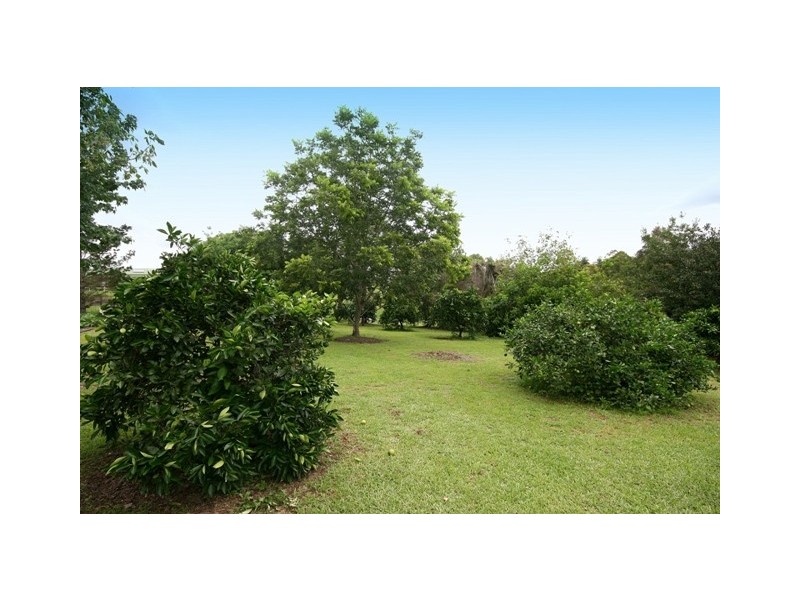 Beechwood NSW 2446