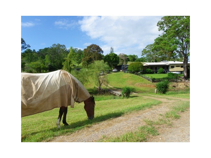 Gum Scrub NSW 2441