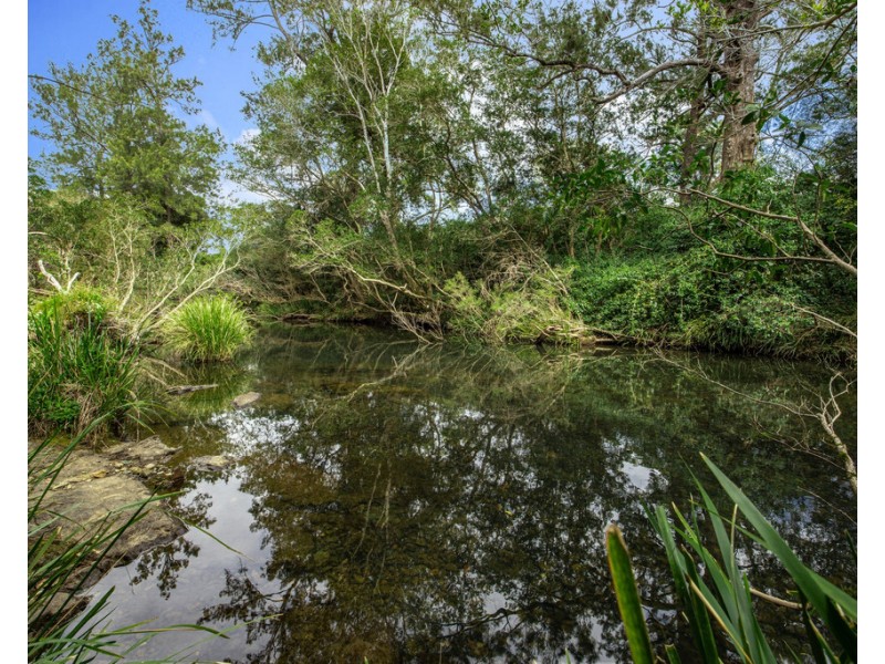 157 Pappinbarra Road, Beechwood NSW 2446