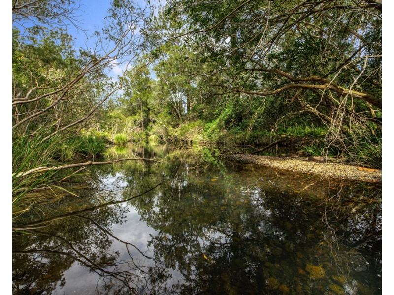 157 Pappinbarra Road, Beechwood NSW 2446