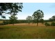 Wauchope NSW 2446