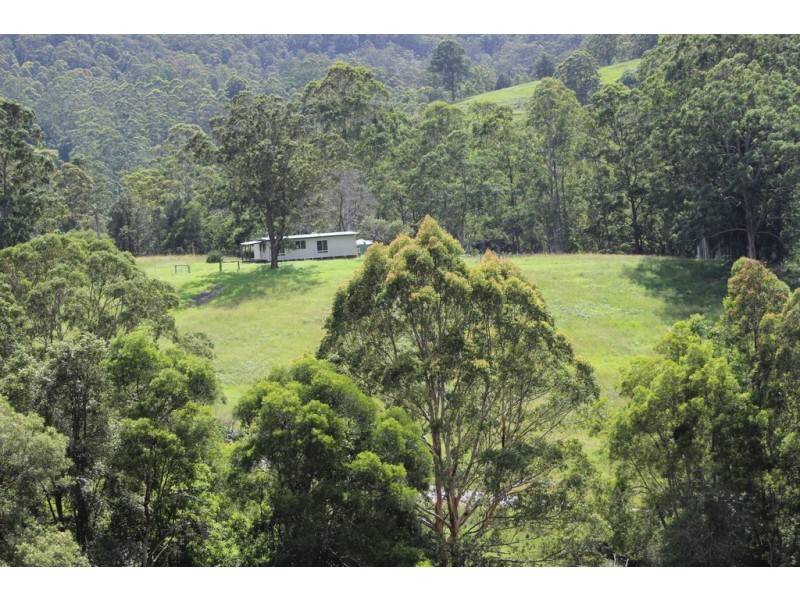 Bellangry NSW 2446