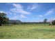 Beechwood NSW 2446