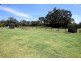 Beechwood NSW 2446