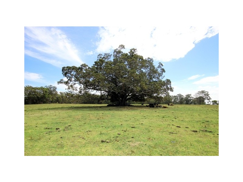 Beechwood NSW 2446