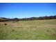 Bagnoo NSW 2446