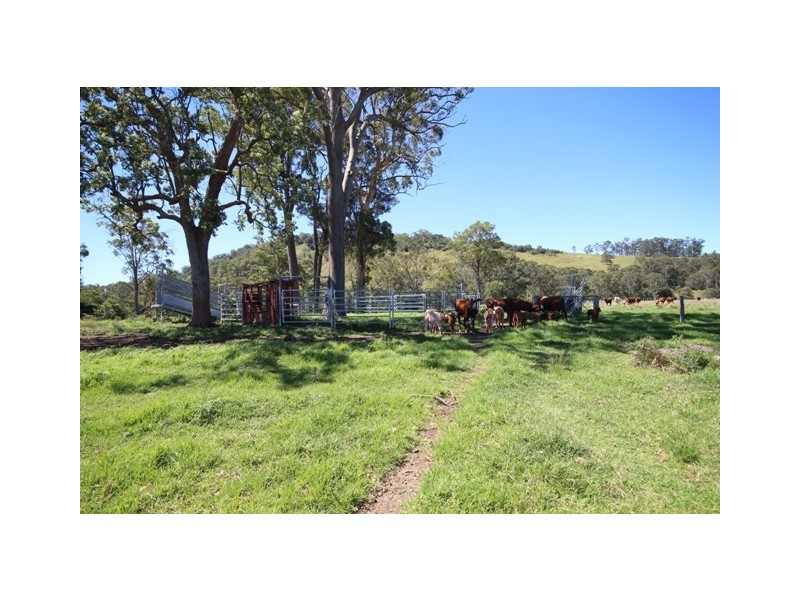 Bagnoo NSW 2446