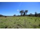 Bagnoo NSW 2446