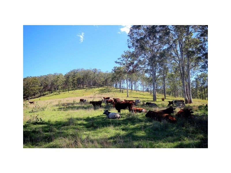 Bagnoo NSW 2446
