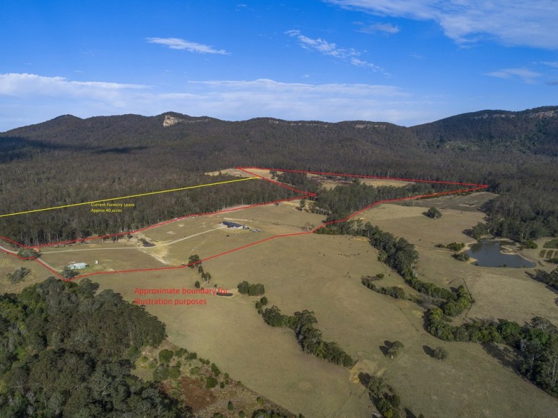 60 The Paddock Road, Wauchope NSW 2446